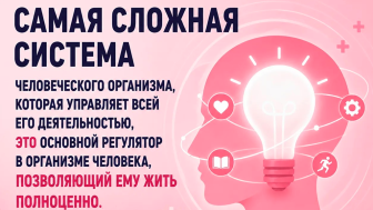 Про мозг человека